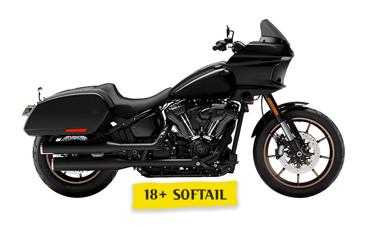 18+ Softail