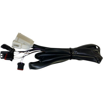 Custom Dynamics Low Rider Integrated Taillight Harness