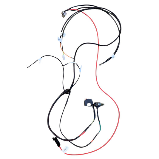 Race Wiring Harness